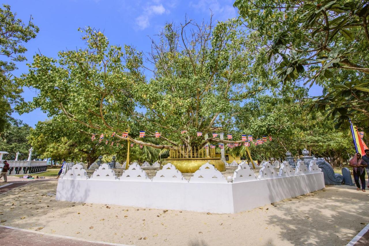 Thambu Illam Hotel Jaffna Bagian luar foto