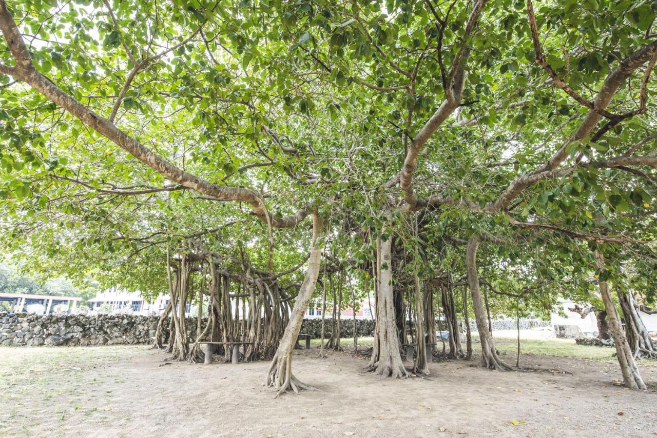 Thambu Illam Hotel Jaffna Bagian luar foto